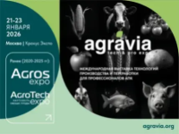   ,   " ", 21-23  2026      